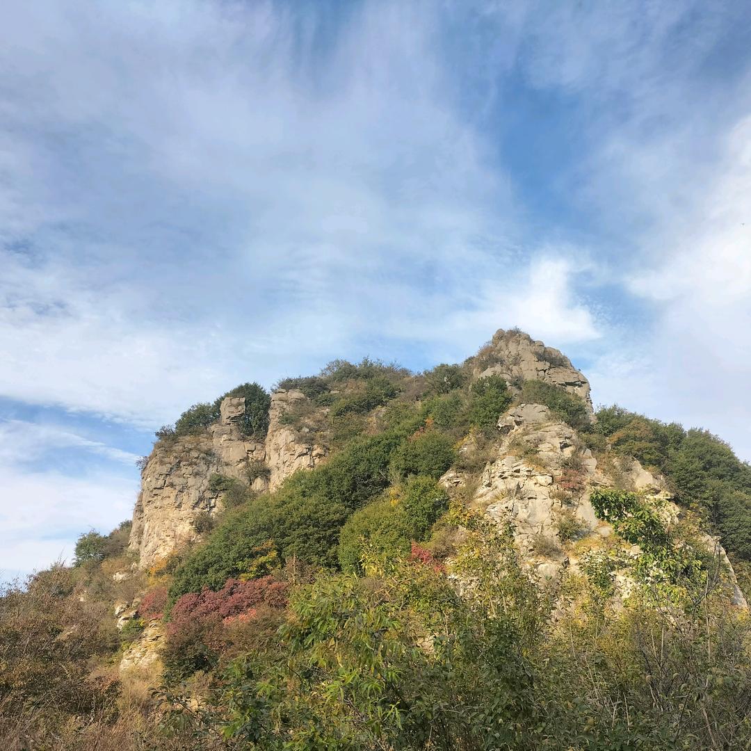 东山养望