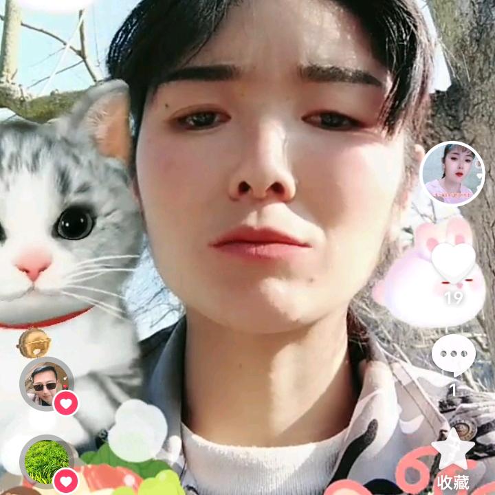 小兰花草
