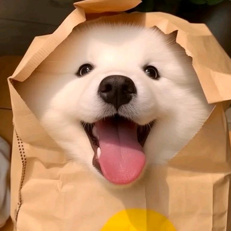 风的方向