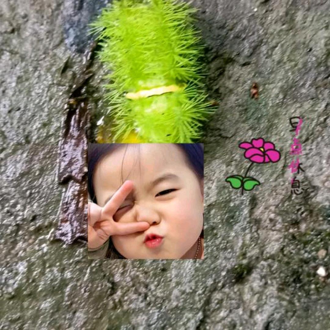 回忆红莲