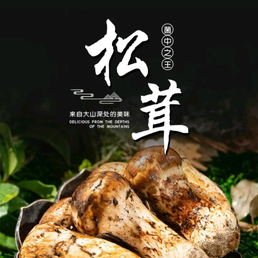 安安云品甄选