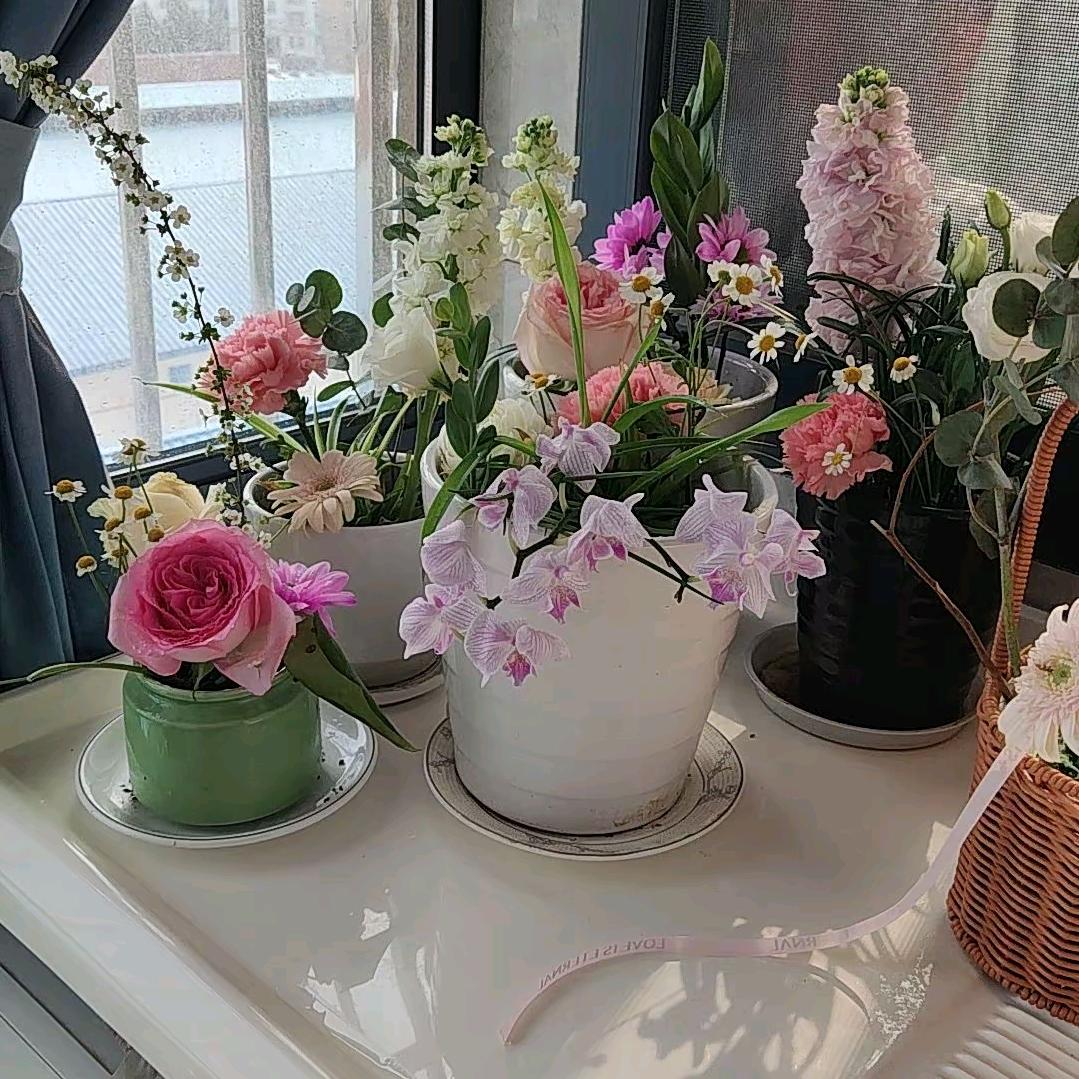 涨潮捡贝
