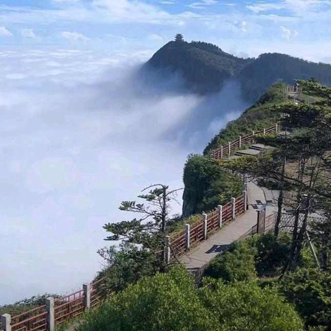 淡若春风