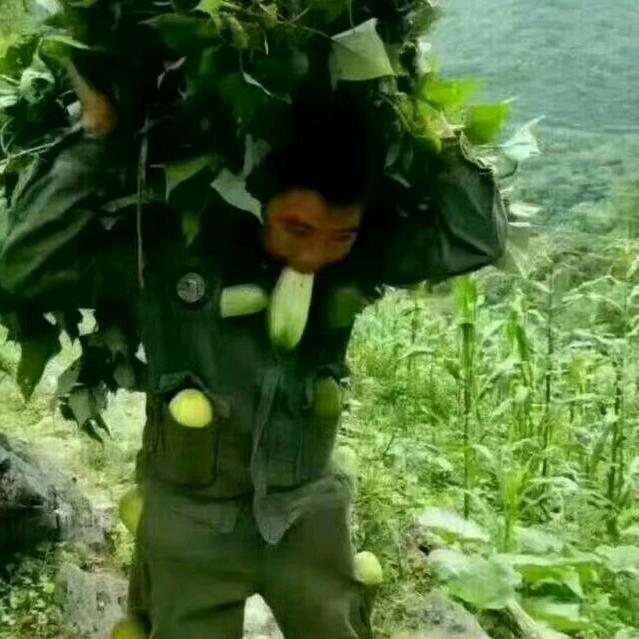 嗨哥