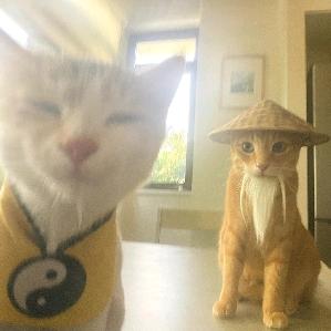 玄隐遗密