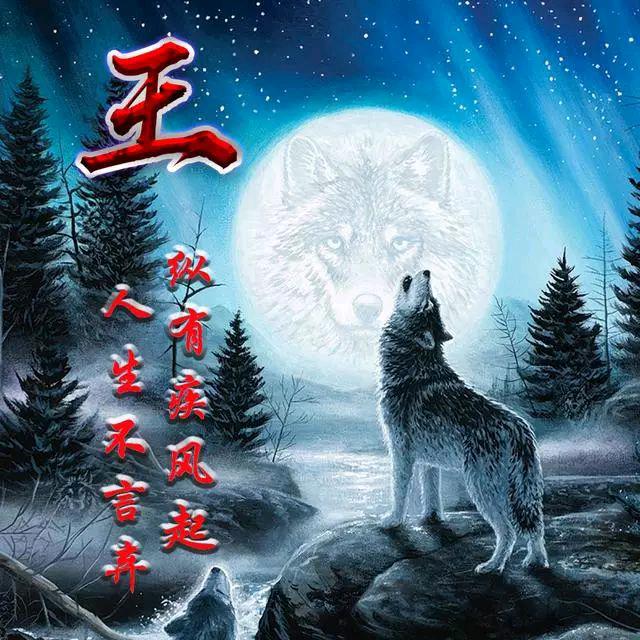 楚云飞（首播）小号