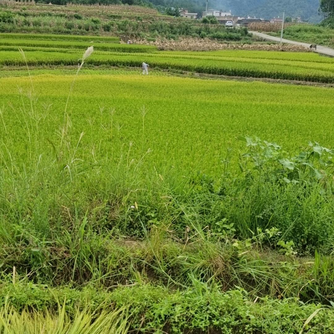 真爱永恒（拒绝私聊）