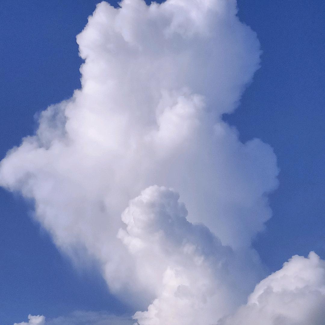 (❁腻❁了❁不❁爱❁)