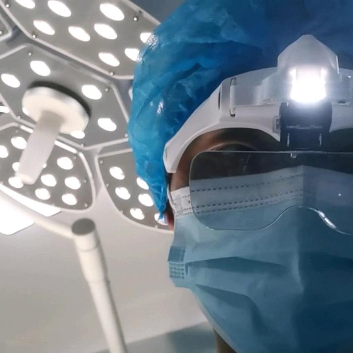 云南普洱维康宠物诊所