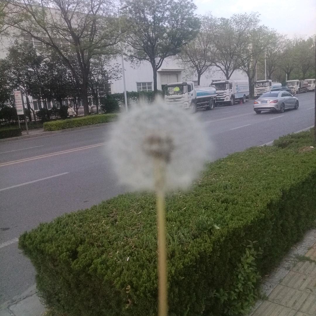 @杨