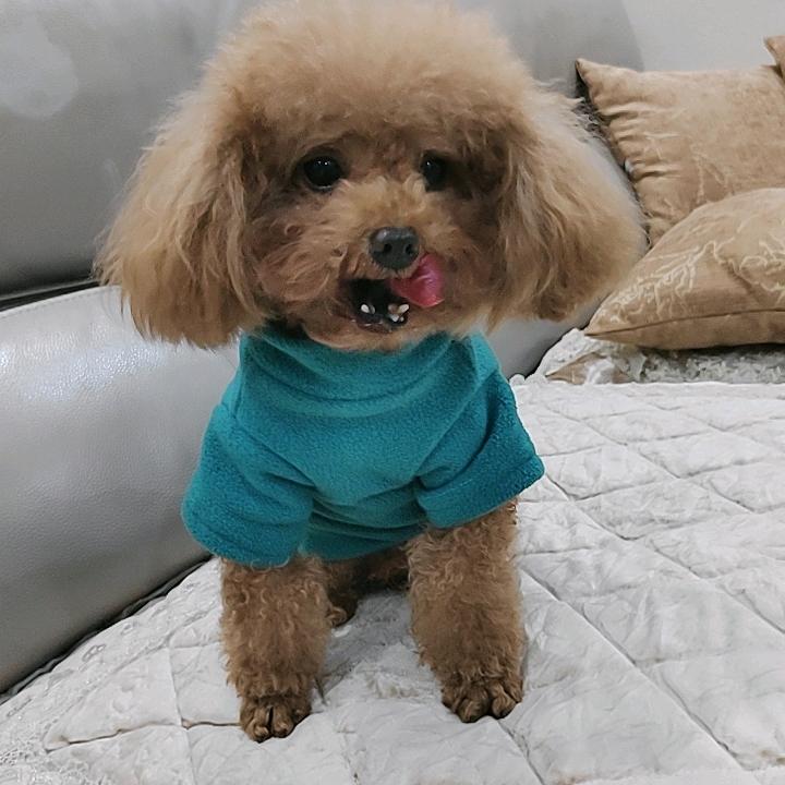 WXL