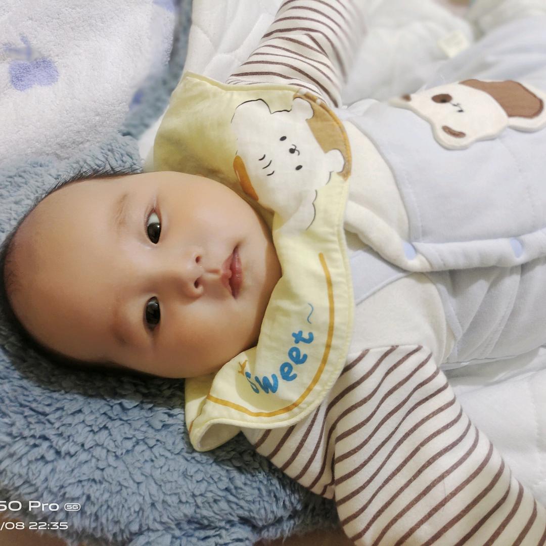 牛奶味的小团子