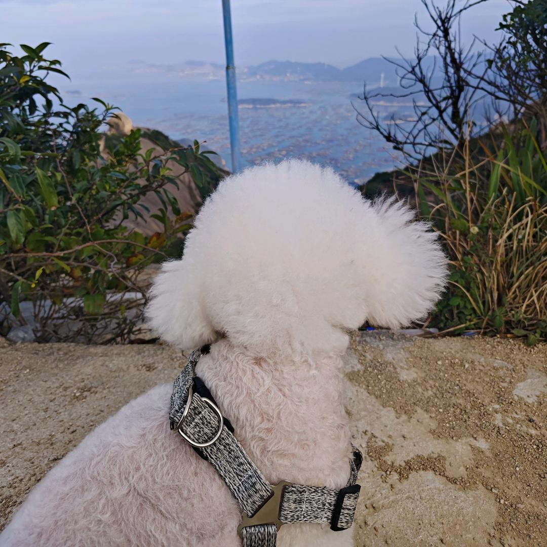 我是太阳☀️