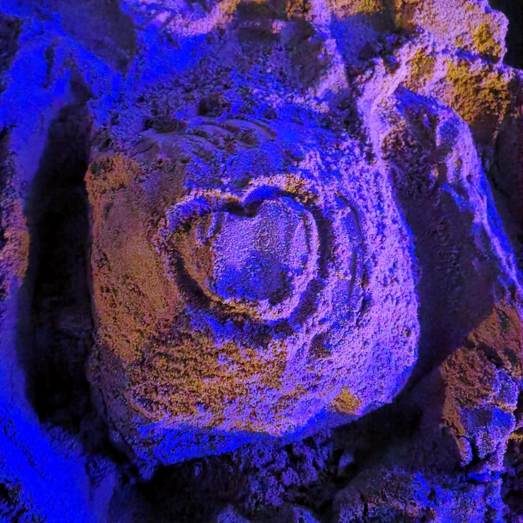 LWT彤♀