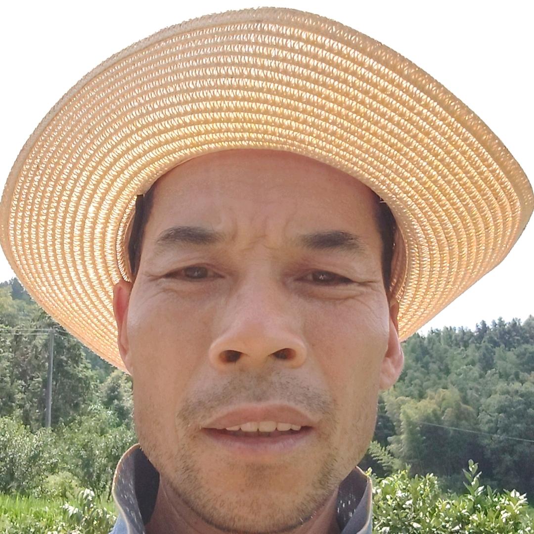 高山炎陵黄桃