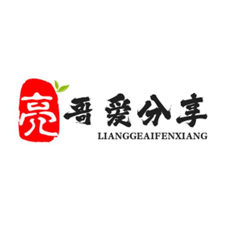 亮哥爱分享