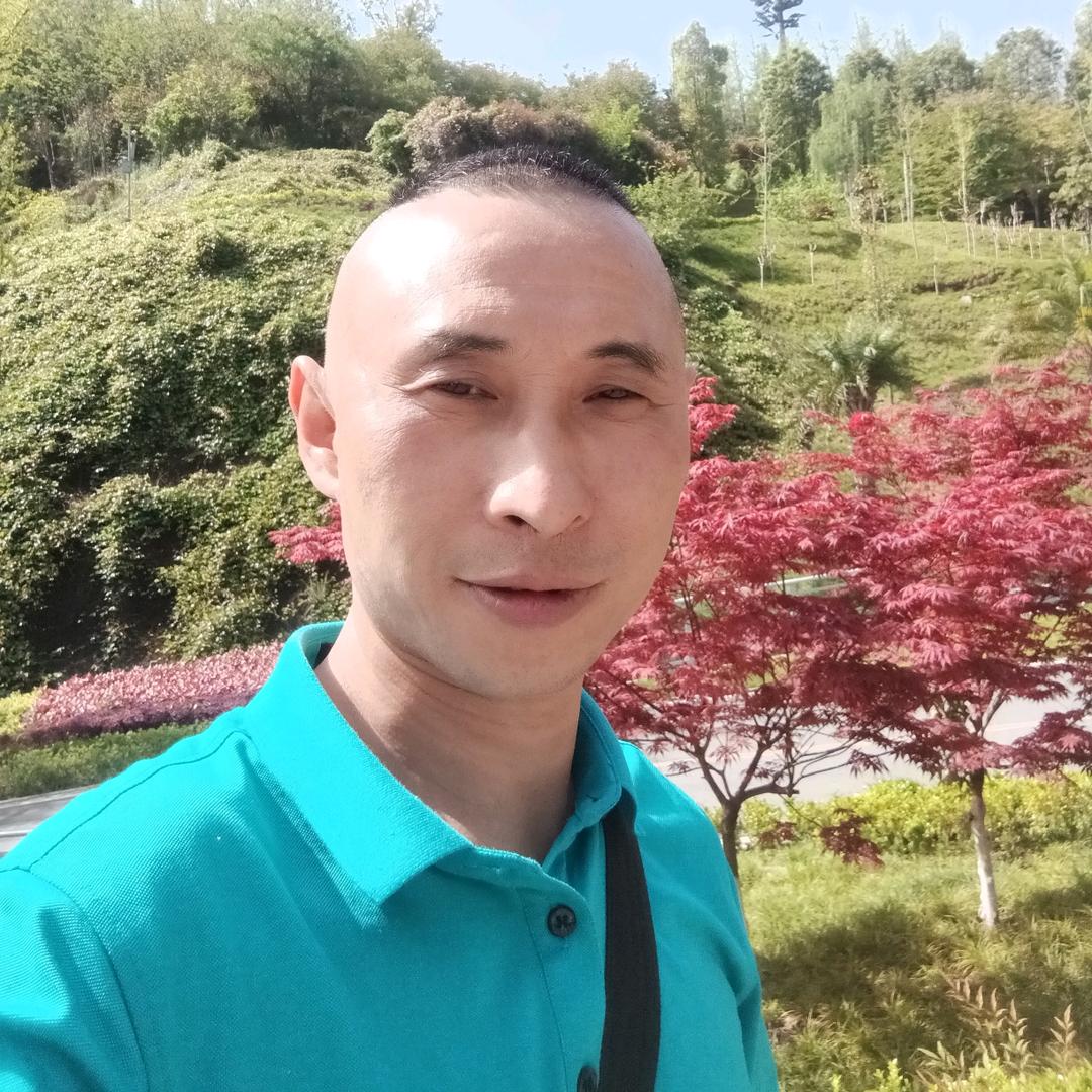 君临天下