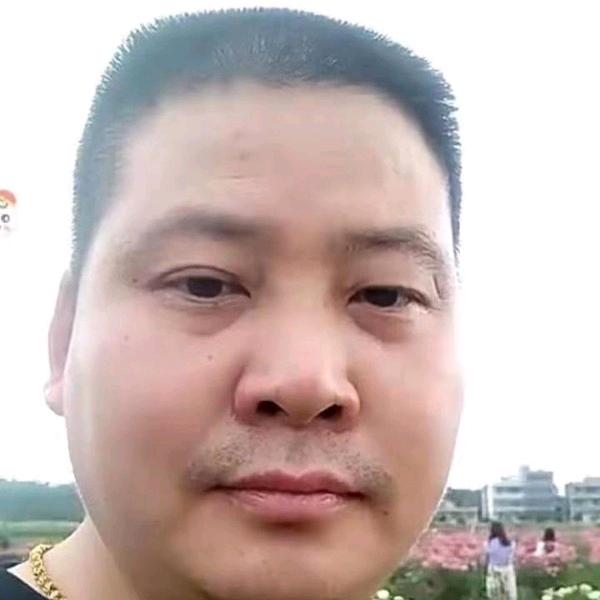 自由飞翔，