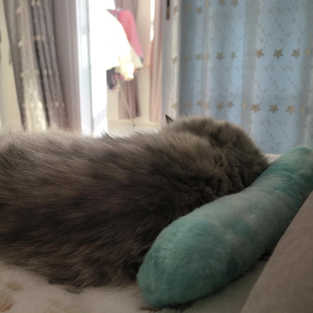 一只蛋黄鸭