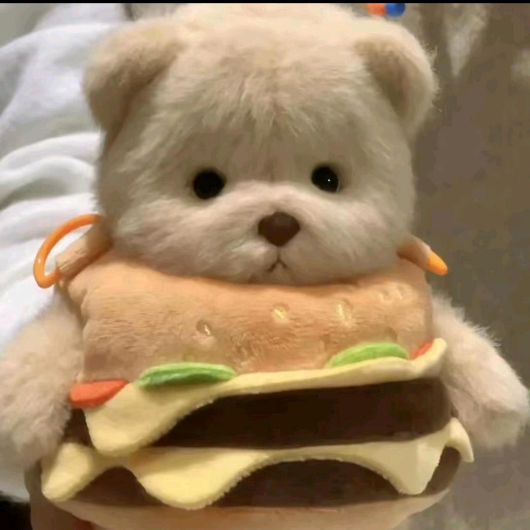 星匿于云川☀️