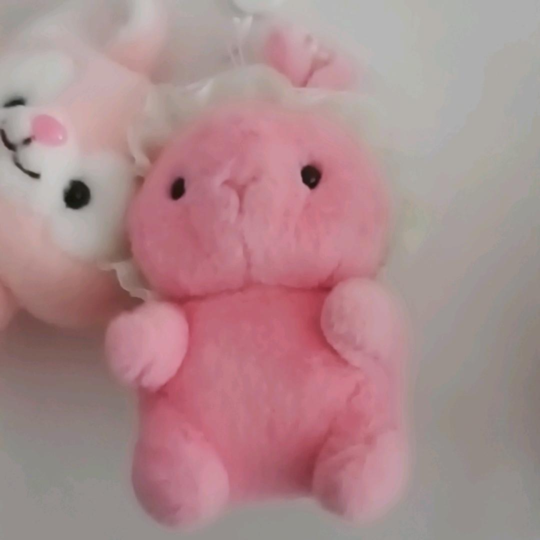 周口，淮阳，吴哥