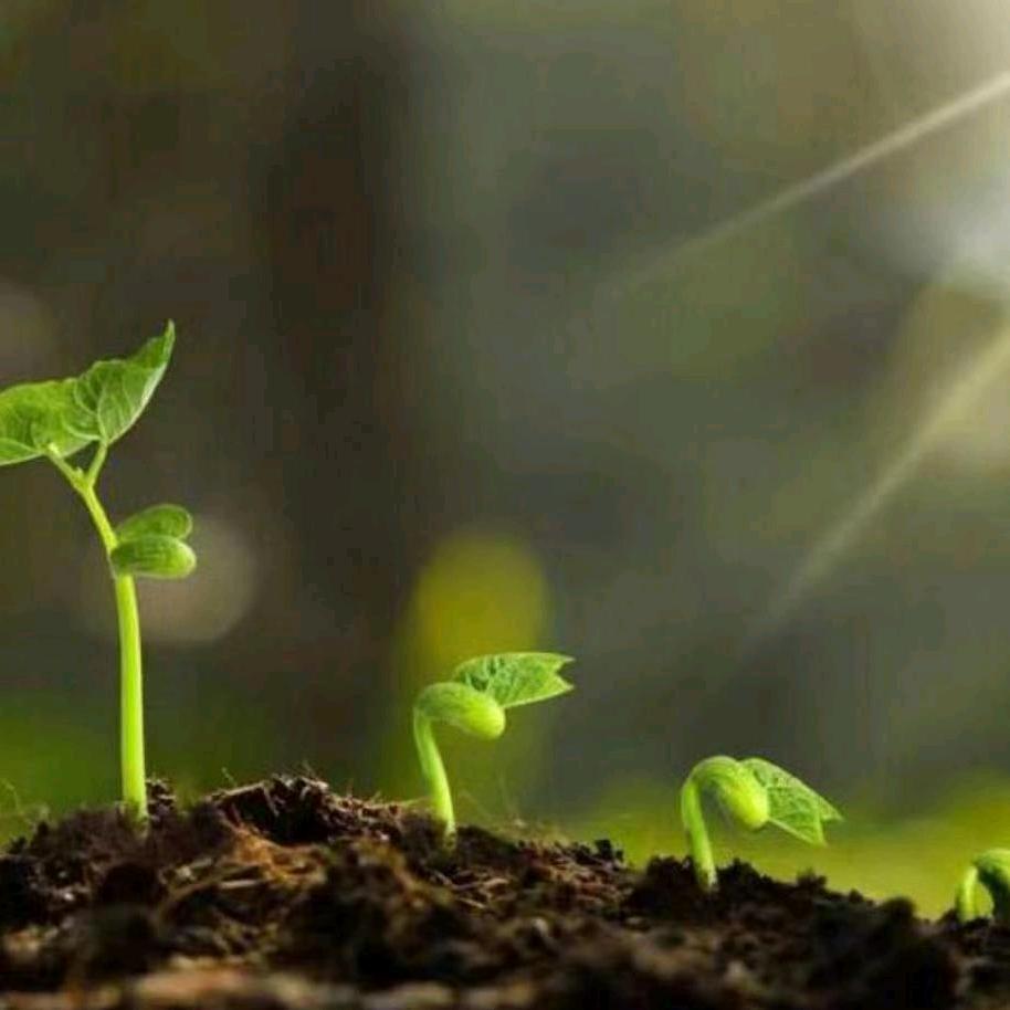 天天向上😊倪姐