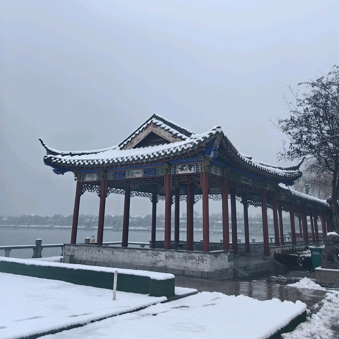 上将军