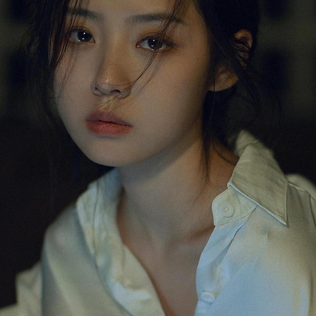 杨姐文案