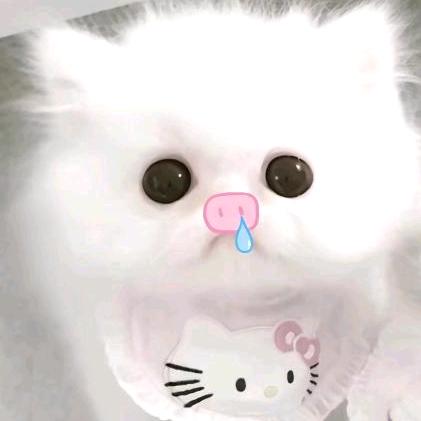 洋桔梗