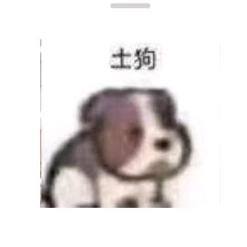 哦哦哦哦哦555