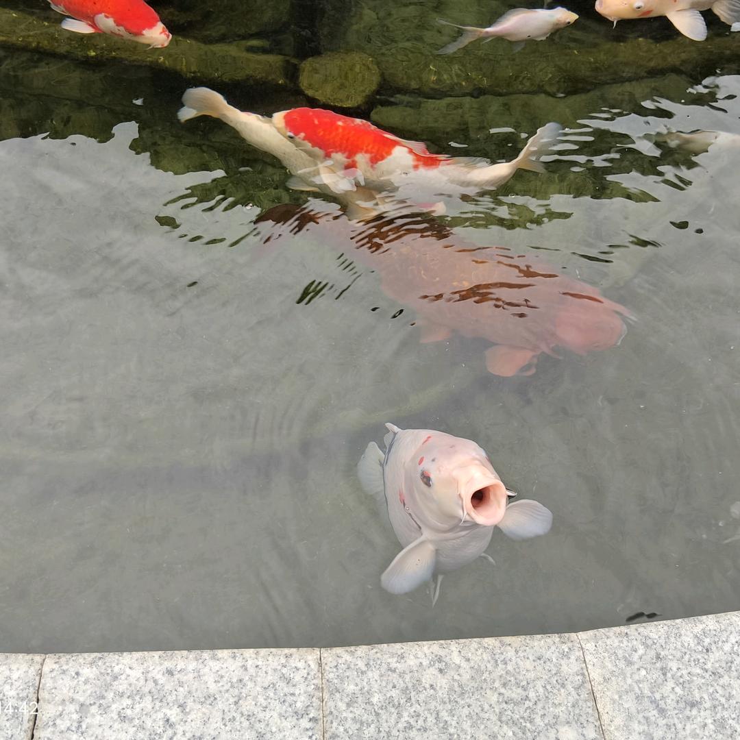 এ᭄゛一纸荒凉ꦿ᭄ঞ