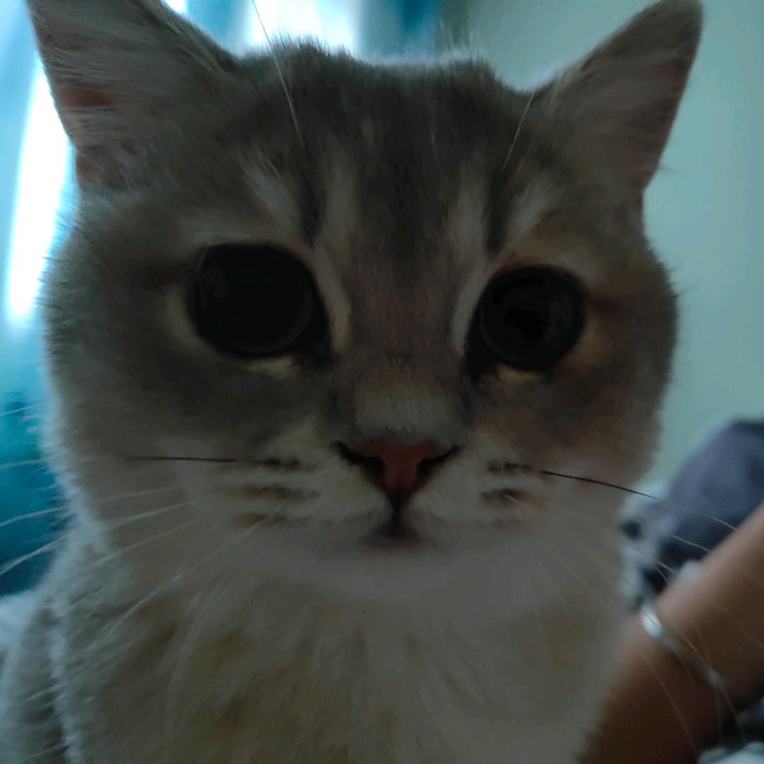 别烦我，我有病