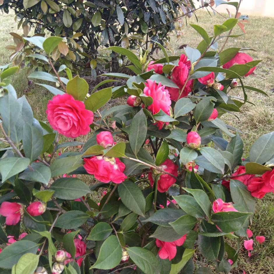 开心过好每一天！