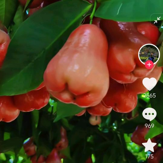 手机用户62091111015