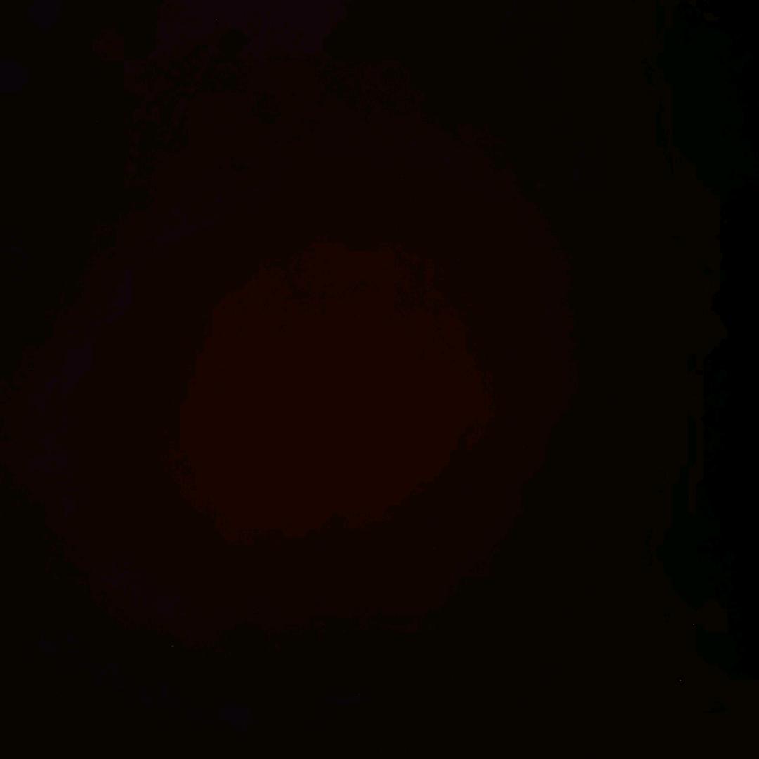 梅春