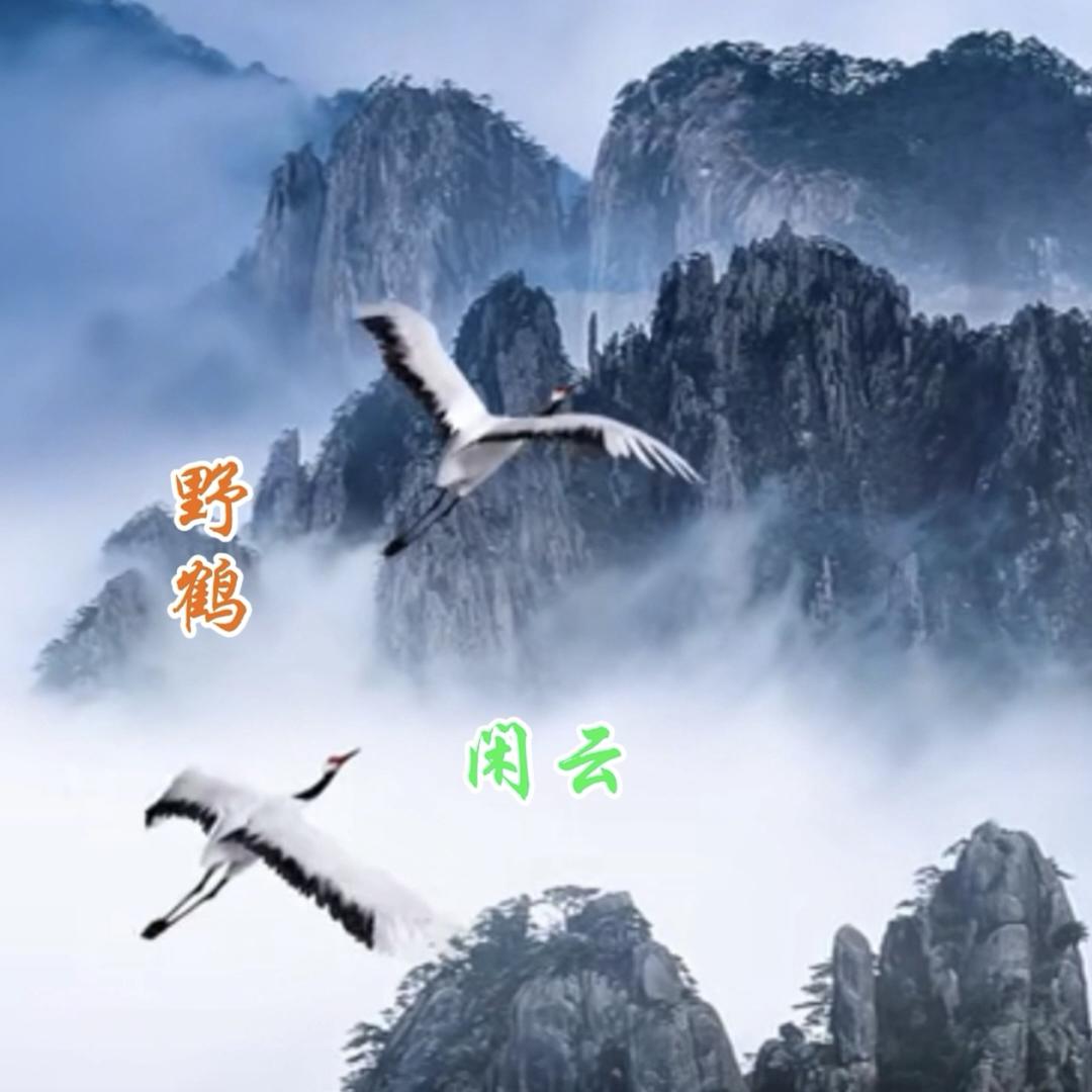 砖坯干燥砖窑技改脱硫降氧