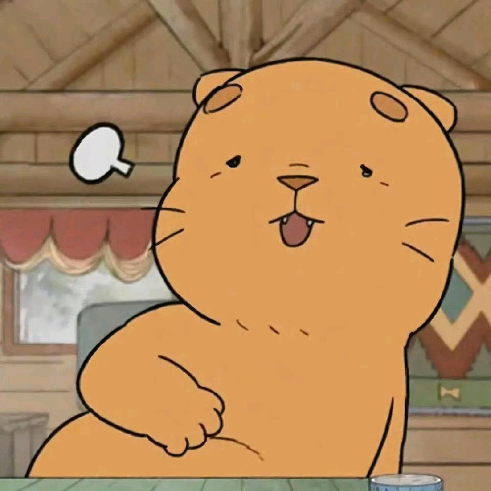 小猫小耳朵朵朵👻
