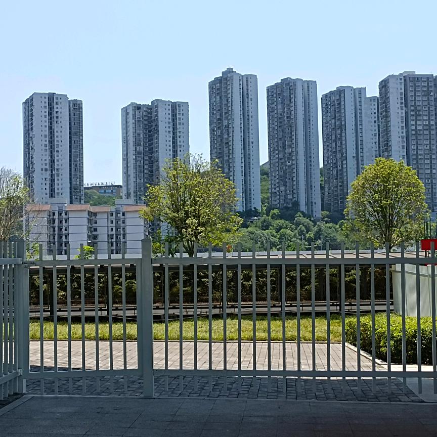 乐乐
