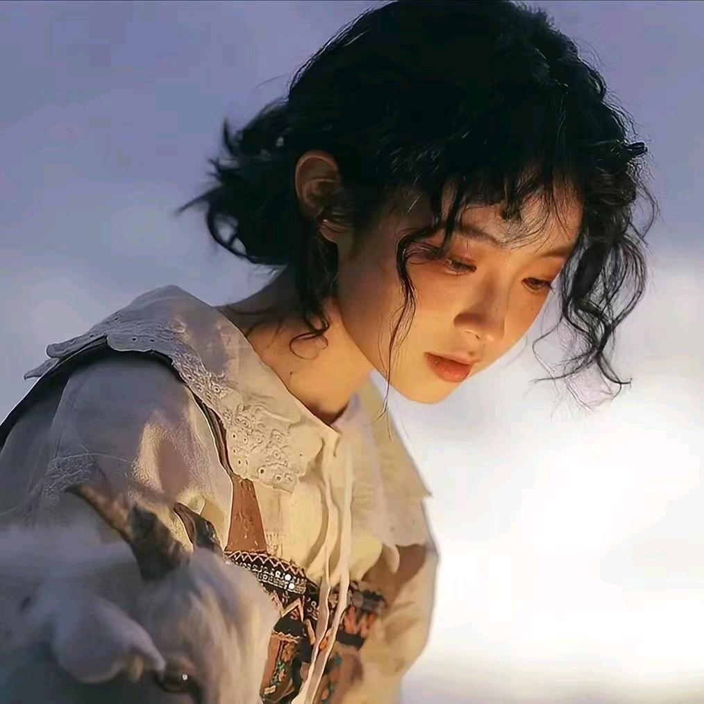窝窝头追剧