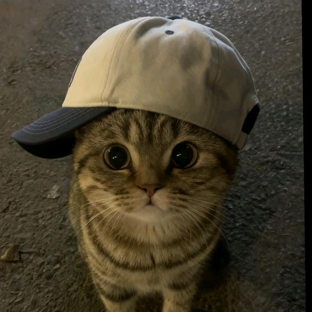 半瓶汽水🥤