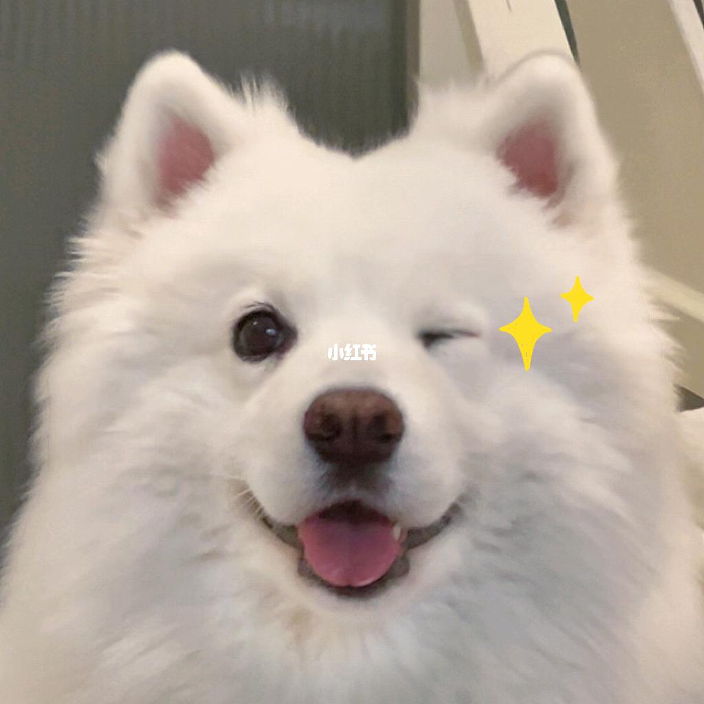 嗷呜ꦿ嗯᭄哼໊ོ