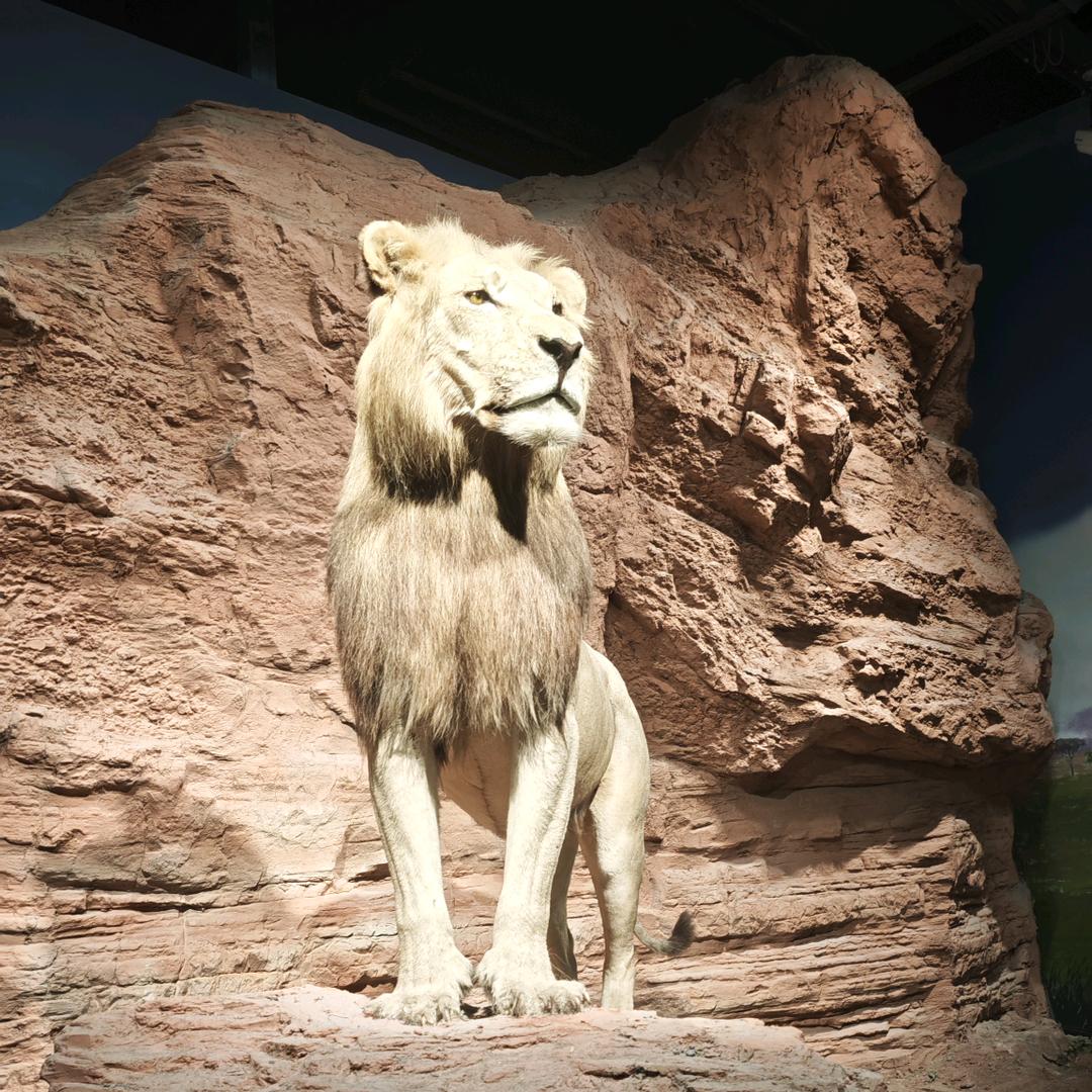 请关注96156116810