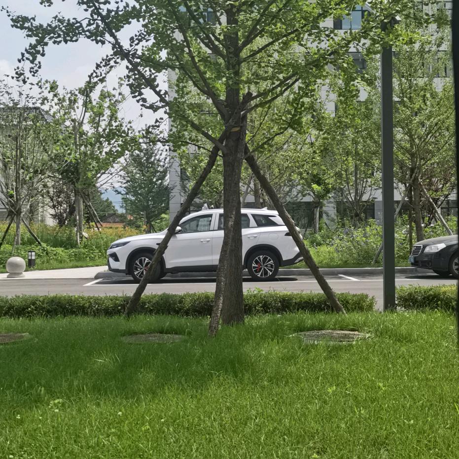 我心飞翔