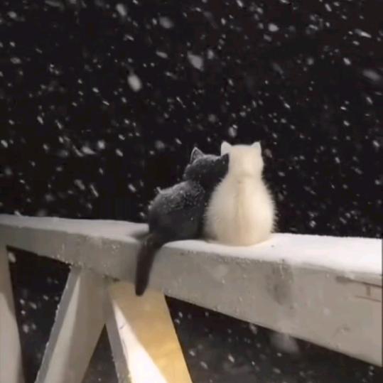 ￴￴ ￴￴￴一缕清风