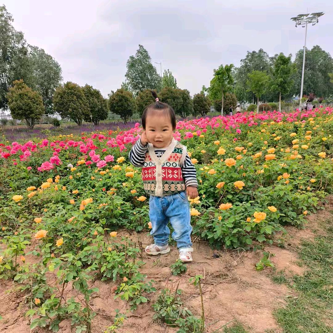 欢乐的赵大胖