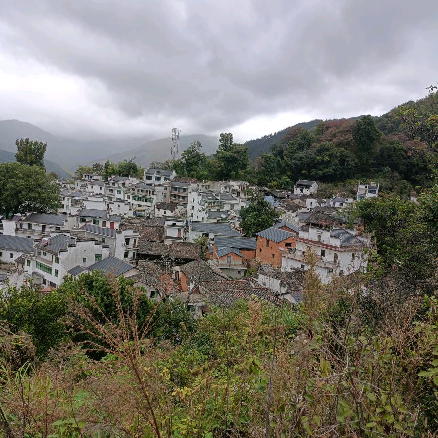 神馬都是浮雲&哆餘囬憶