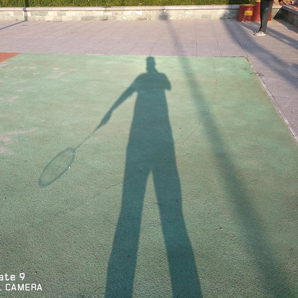 预感