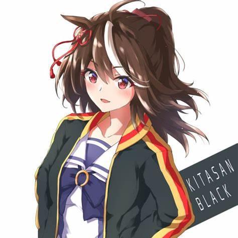 Festival Kitasan