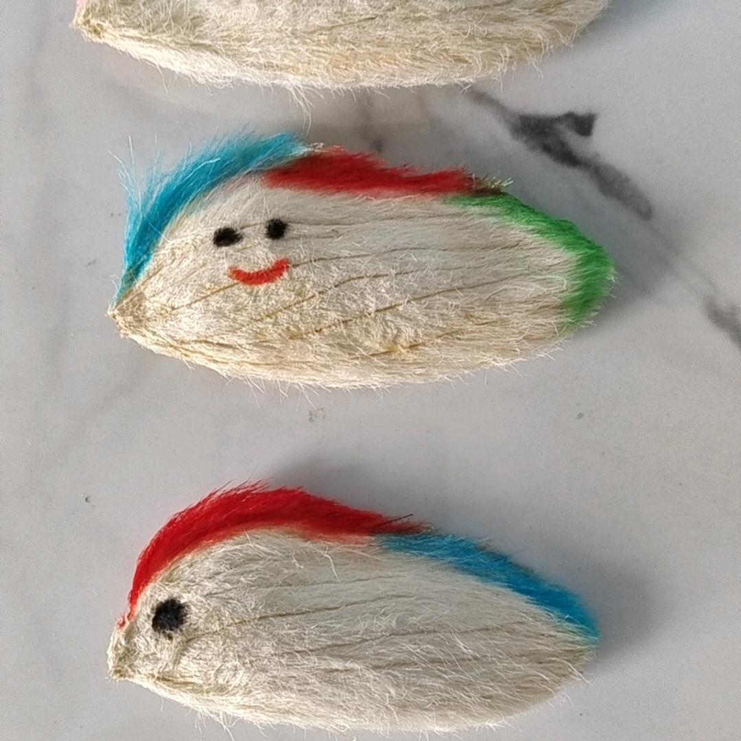 西风战队，强哥