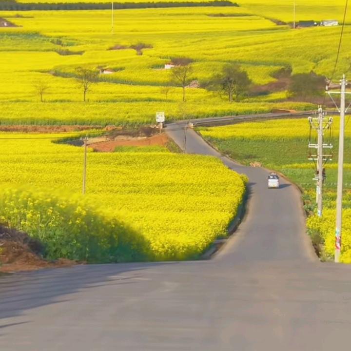 江子书